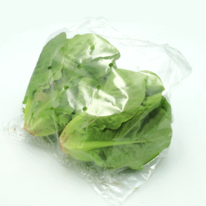 Sałata rzymska EKO 2szt