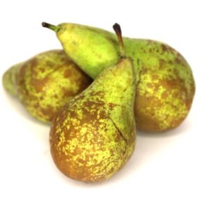 Gruszka EKO