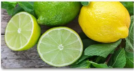 Cytryna limonka luz | 1 Cytryna limonka luz