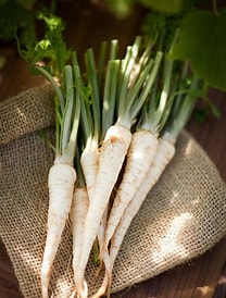 Strona główna 10 Pietruszka EKO 0