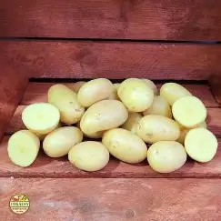 Ziemniaki FRANCUSKIE