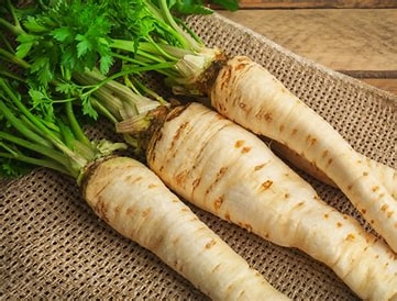 Pietuszka korzeń | kilogram 1 Pietuszka korzeń