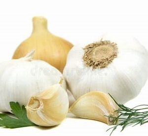 Czosnek Młody Egipt szt