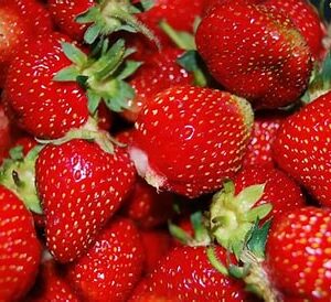 Strona główna 20 Truskawka 500g