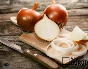 Strona główna 18 Cebula cukrowa EKO 1 kg