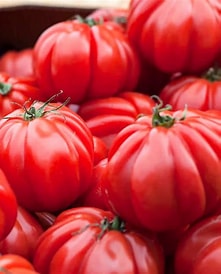 Pomidory bawole serce