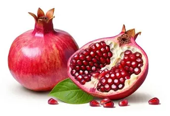 Granat | SZT 1 Granat