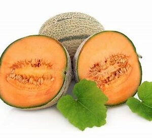 Melon quantalupe