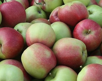 Jabłka ligol | kilogram 1 Jabłka ligol