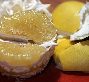 Grapefruit Pomelo