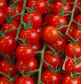 Pomidroki cherry 500 g