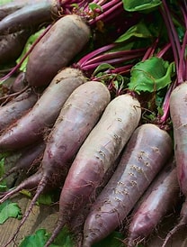 Burak długi EKO 1 kg