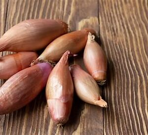 Cebula szalotka 250g