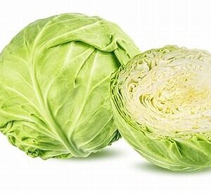 Kapusta biała