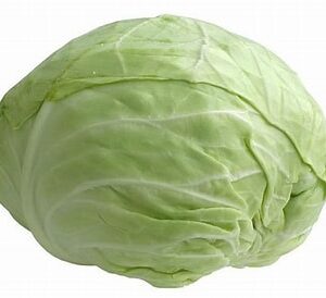 Kapusta biała EKO 1 szt