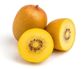 Kiwi złote szt