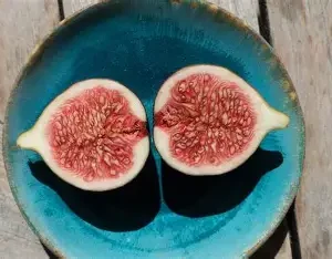 Figa świeża