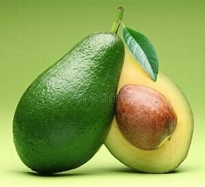 Awokado Fuerte  zielone