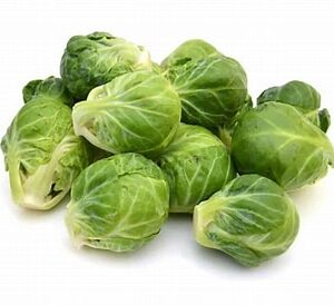 Brukselka kapusta
