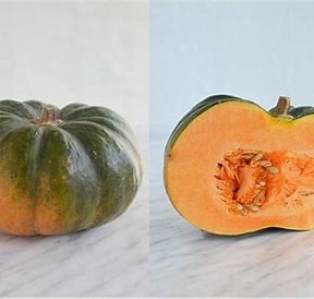 Strona główna 12 Dynia Muskat