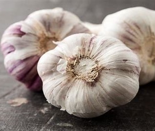 Czosnek EKO 1 szt | sztuka 1 Czosnek EKO 1 szt