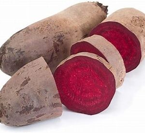 Burak czerwony podłużny