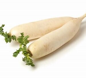 Rzodkiew biała