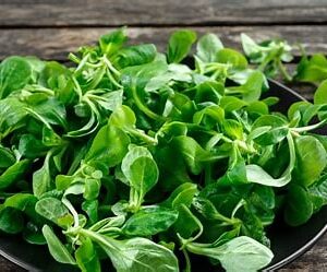 Sałata roszponka tacka 100g