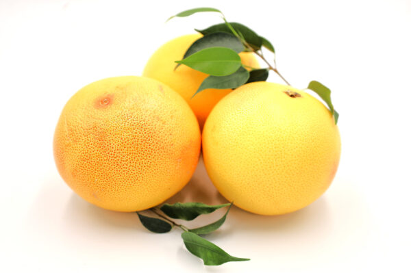 Grejpfrut EKO | kilogram 1 Grejpfrut EKO